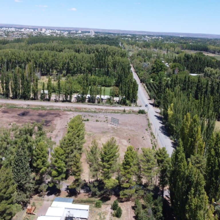 El Pinar, Loteo Exclusivo en Cipolletti, calles San Luis y Rímele