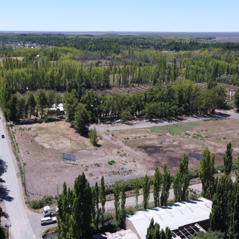 El Pinar, Loteo Exclusivo en Cipolletti, calles San Luis y Rímele